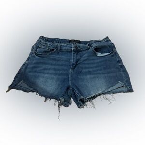 Judy Blue Frayed Hem Jean Shorts
